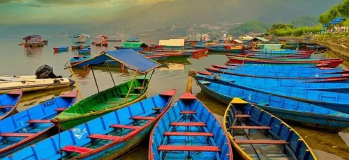 View Trips - Travel admin!