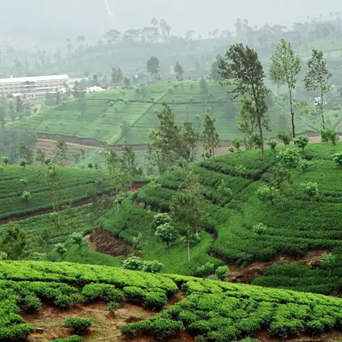 View this trip - Sri Lanka: The Wild Highland Odyssey