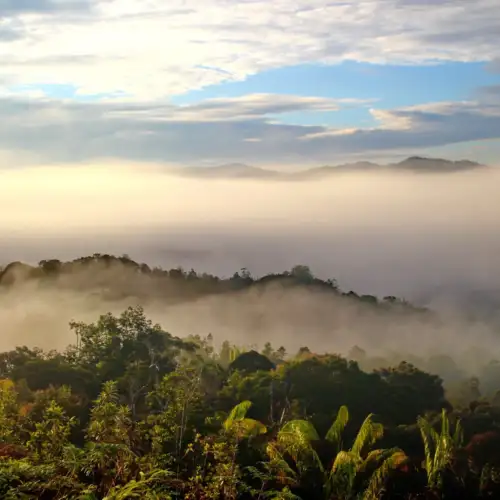 View this trip - The Death March and Mount Trusmadi