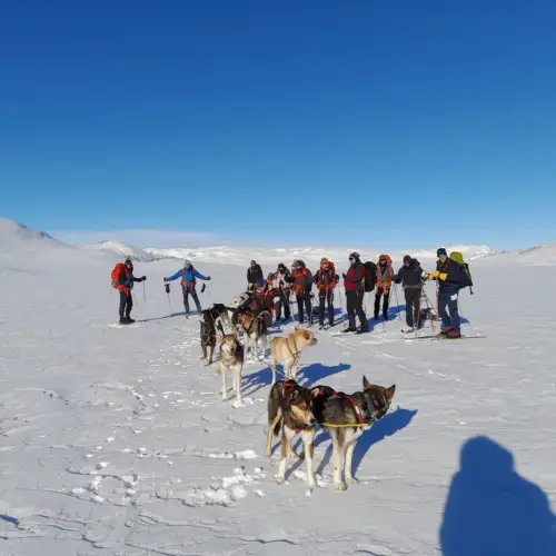 View this trip - Heroes of Telemark Expedition